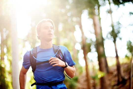 Man, fitness and running with forest for workout, exercise or cardio in nature or woods. Male person, active or runner with backpack, trees or space for heart health, wellness or sport on trail