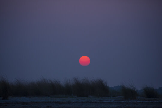 View of the vibrant red sun setting over the tall grasses of the Sundarban mangrove forest in Khulna, Khulna Division, Bangladesh.