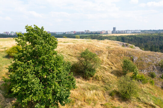 Barrandov skyline above Prokop Valley in summer
