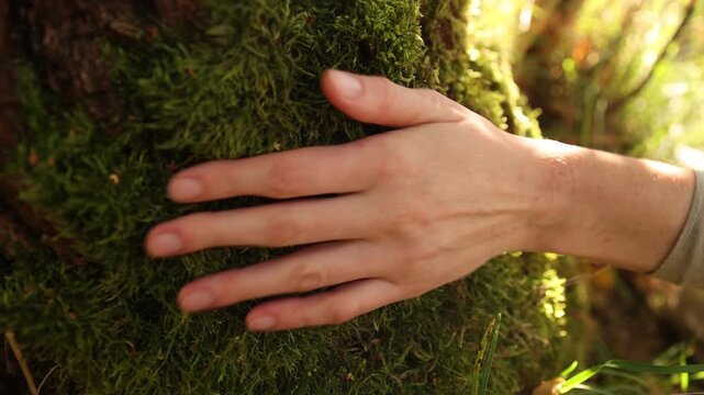 Peace and harmony. Woman touching moss outdoors, closeup