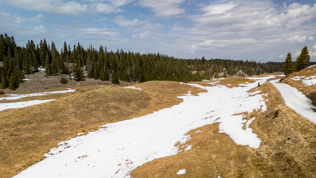 View of Col du Marchairuz mountain pass with patches of melting snow on dry grass, surrounded by pine forests under a blue sky in Gimel, Vaud, Switzerland.