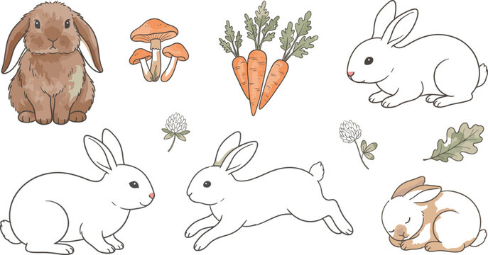 Cute hand-drawn vector illustration set of sweet bunny rabbits running sitting sleeping carrots and mushrooms isolated on white background
