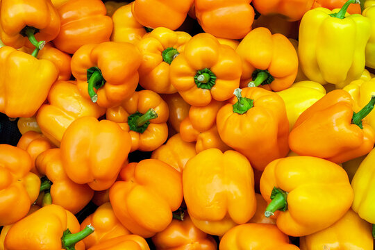 Assorted Bunch of Yellow Bell Peppers