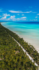 A thin white sandy dirt road runs along Abemama atoll island. © gshakwon