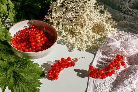 Red Currants and Elderflower Blossoms with Lace