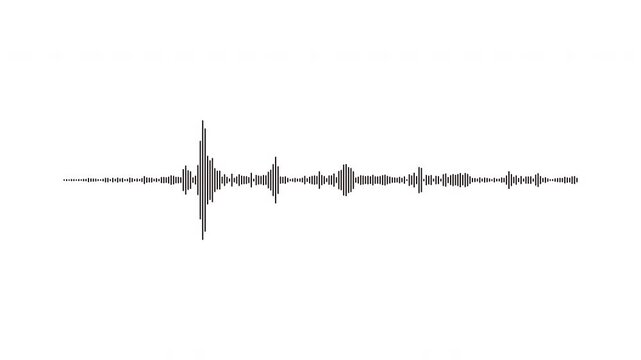 Premium digital music frequency spectrum animation, black clean sound wave spectrum loop, minimalist digital frequency equalizer for music production, digital voice record effect, white background