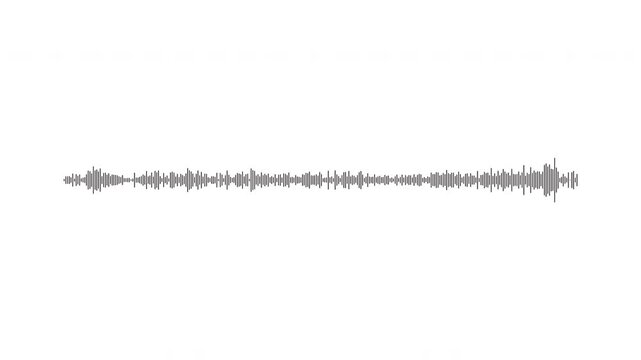 Premium digital music frequency spectrum animation, black clean sound wave spectrum loop, minimalist digital frequency equalizer for music production, digital voice record effect, white background