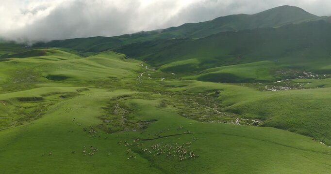 Badimalika region, Bajura, Nepal, high-angle drone shot over alpine pastures, meandering river streams, and grazing sheep flocks in Triveni Patan grassland under dramatic cloud formations
