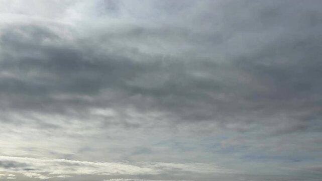 柔らかな色の薄雲が広がる曇天の秋の空