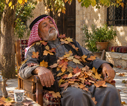 Grandfather Napping As Autumn Leaves Pile Up On Him