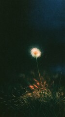 Fototapeta premium Dark moody dandelion wallpaper with glowing bokeh for mobile phone