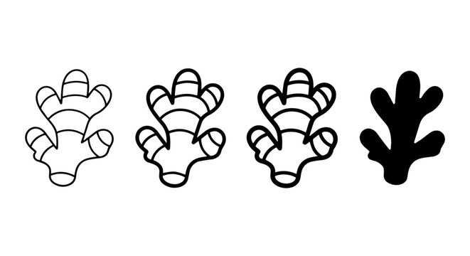 Ginger Root Vector Icons: Outline, Filled, Silhouette, and Hand-Drawn Styles