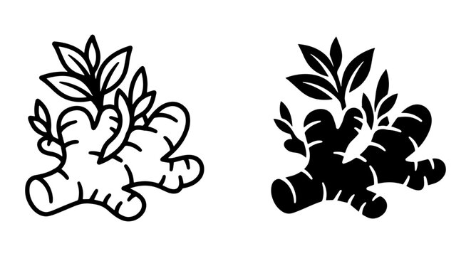 Ginger Root Vector Icons, Fresh Spice Plant Illustrations, Culinary Ingredient Graphics