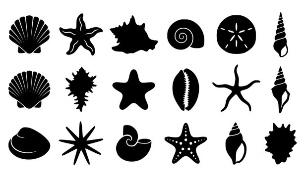Seashell and Starfish Silhouette Collection Summer Beach Vector Set