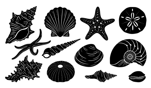 Ocean Treasure Seashell Starfish Silhouette Vector Elements Collection