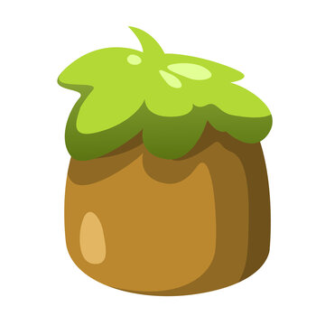 vector illustration of an grass on stone