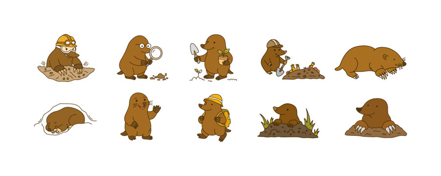 collection of various poses of cute moles digging dirt