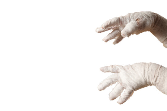 Hands adorned in white gesture welcomingly for autumn festivities, PNG