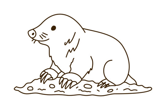 Mole Sitting On Loose Soil Mound Line Drawing Style