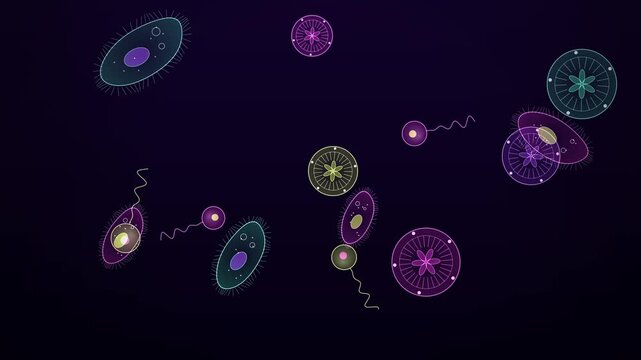 Pink Tissue Plankton Microorganisms Under Microscope, Seamless Loop Animated Background 4K