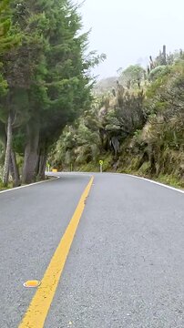 Nevado del Ruiz Mountain Road on the Route between Manizales and Murillo, Colombia. Driving POV. Vertical Video.
