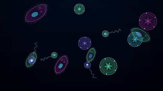 Pink Tissue Plankton Microorganisms Under Microscope, Seamless Loop Animated Background 4K