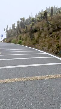Scenic Mountain Road through High Altitude Landscape. Driving POV. Vertical Video.