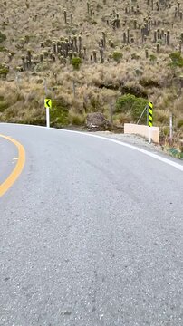 Scenic Mountain Road through High Altitude Landscape. Driving POV. Vertical Video.