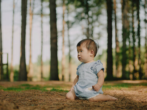 Toddler girl in a blue dress sitting on the pine forest floor looking away