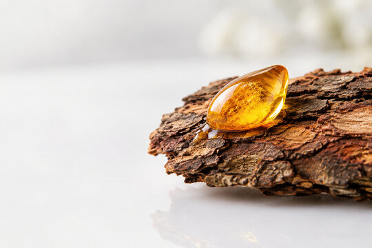 Golden copal resin drop on tree bark against white surface.