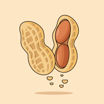 Open Peanut Isolated Vector Illustration Cartoon Design