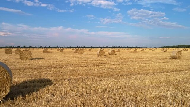 Close drone approach passes a prominent round straw bale with a dark oval shadow then opens onto many smaller rolls scattered across sunlit stubble beneath delicate clouds and a distant tree line