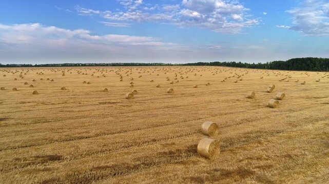 Drone tracks laterally above golden grain stubble and scattered cylindrical straw bales bringing rolls through the foreground while a broad blue cloudscape and dark trees anchor the horizon