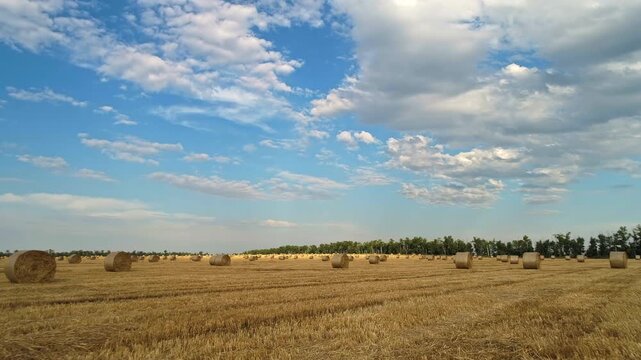 Low horizon drone flight above a quiet harvested field where isolated round straw bales punctuate flat golden stubble and a distant woodland edge keeps expansive layered summer clouds dominant