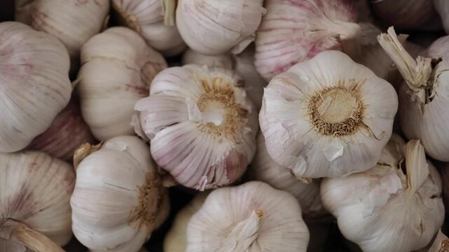 Garlic preparation in a kitchen for cooking various dishes