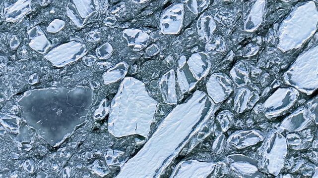 Aerial top-down drone shot of round pancake ice plates drifting on a frozen sea, an abstract pale blue winter pattern