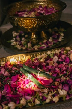A pair of rolled betel leaves amidst a scattering of rose petals.The betel leaf-throwing ceremony in a traditional Javanese wedding is known as "Balangan Gantal" and is part of the "Panggih" ceremony 