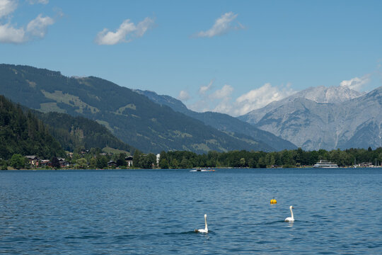 Mountain lake with swans and alpine landscape