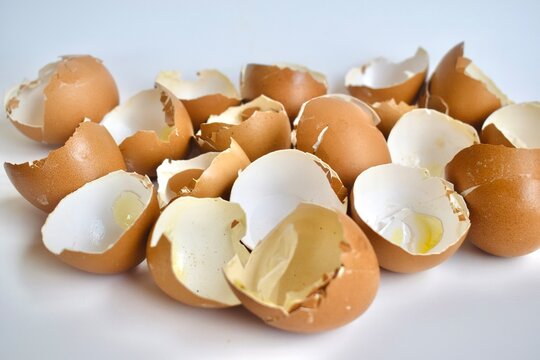 A collection of cracked brown eggshells isolated on a plain white background.