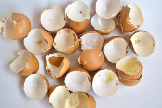 Top-down flat lay view of numerous broken brown eggshells scattered across a smooth white surface.