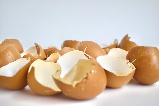 A collection of cracked brown eggshells isolated on a plain white background.