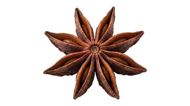 Star anise spice pod isolated on transparent background png