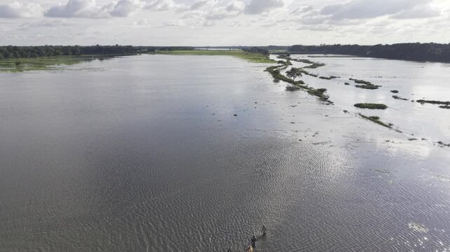 Slow forward aerial footage follows a flooded rural landscape at Nandiar Bil, where a herder moves cattle through seasonal floodwater in Kushtia, Bangladesh.