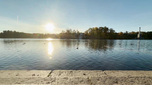 Sunlight glimmers on the lake. Slow motion reveals ducks swimming past monuments in Catherine Park, Pushkin, Saint Petersburg, inspiring deep peace and joy.