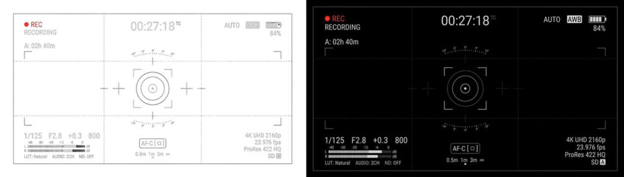 Digital camera view finder interface vector illustration featuring recording indicators focus points timecode shutter speed aperture settings and grid lines on isolated background