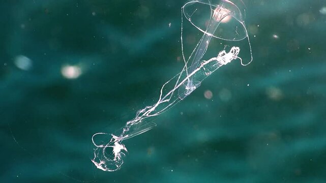 Mysterious Underwater Cave Exploration Beneath the Deep Blue Ocean