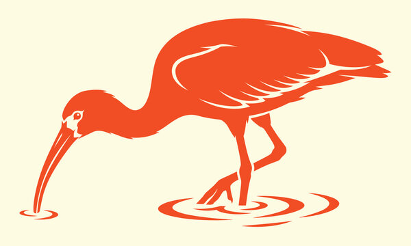 Minimalist vector illustration of a scarlet ibis bird wading in shallow water on a light background