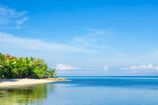 paradise island in the middle of the ocean with a clean beach and green palm trees