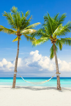 sandy beach with coconut palms and hammock for relaxation, turquoise ocean and blue sky in the background