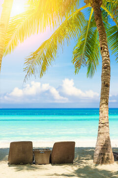 sandy beach with palm trees and sun loungers on the seashore